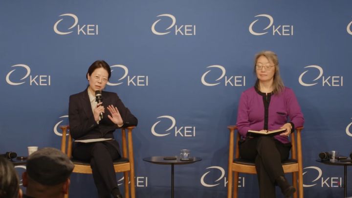 [워싱턴=뉴시스]엘렌 김 한미경제연구소(KEI) 학술국장이 3일(현지 시간) 미국 워싱턴DC에서 KEI와 인도태평양안보연구소(IITS)가 공동개최한 세미나에서 발언하고 있다. (사진=KEI 유튜브 캡쳐). 2026.03.04. *재판매 및 DB 금지
