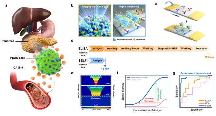 [서울=뉴시스] 'SELFI' 기술 개념도. (사진=건국대 제공) 2026.03.04. photo@newsis.com *재판매 및 DB 금지