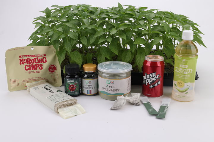 [세종=뉴시스] '원기2호'와 관련 상품. (사진=농촌진흥청 제공) *재판매 및 DB 금지