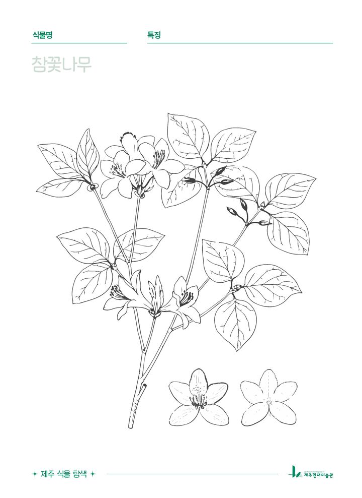 [제주=뉴시스] 제주도 제주현대미술관 생태미술 교육 프로그램 '제주 식물 탐색' 활동지. (사진=제주도 제공) 2026.03.04. photo@newsis.com *재판매 및 DB 금지