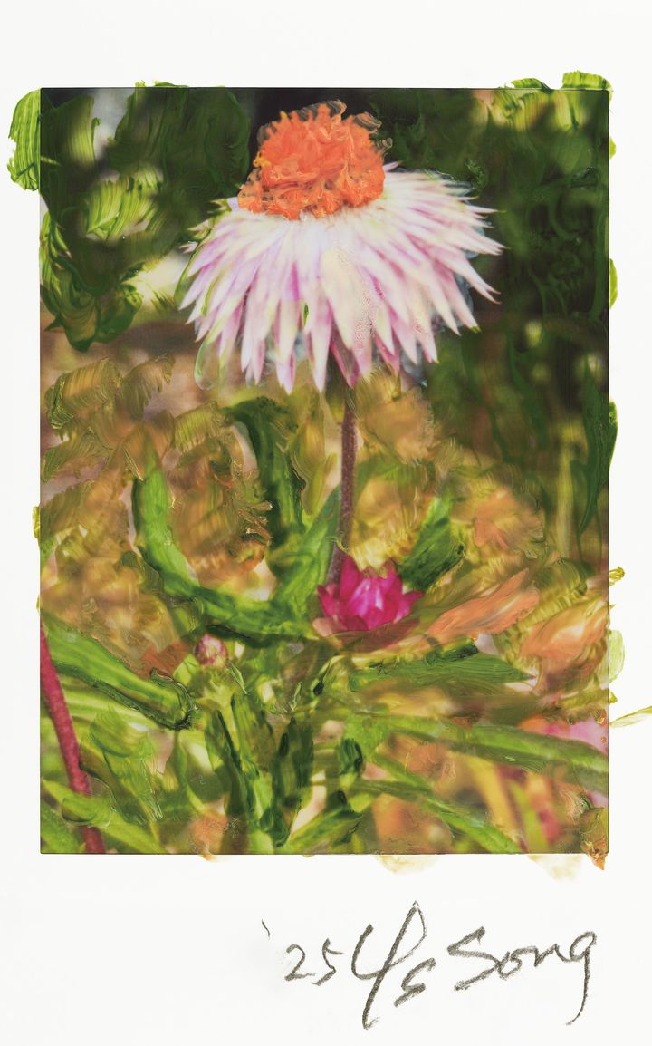 송영숙 사진전 ‘Meditation on the Road 길 위에서’ *재판매 및 DB 금지