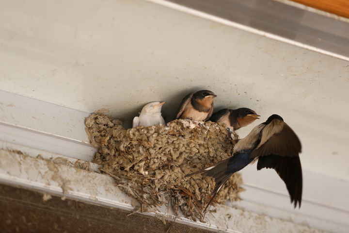 [서울=뉴시스] 5일 식품의약품안전처에 따르면 식품 중 오염물질은 식품위생법에서 정하는 유해물질로, 식품의 생산·제조·가공·손질·처리·포장·운반·보관 과정이나 환경오염 등의 영향으로 비의도적으로 식품에 존재하거나 생성되는 물질을 말한다. 해당 사진은 기사와 직접 관련이 없습니다. (사진=유토이미지 제공) *재판매 및 DB 금지