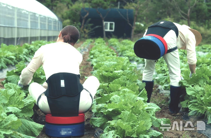 나주시가 농가에 보급 중인 농작업 편의의자. (사진=나주시 제공) photo@nesis.com *재판매 및 DB 금지