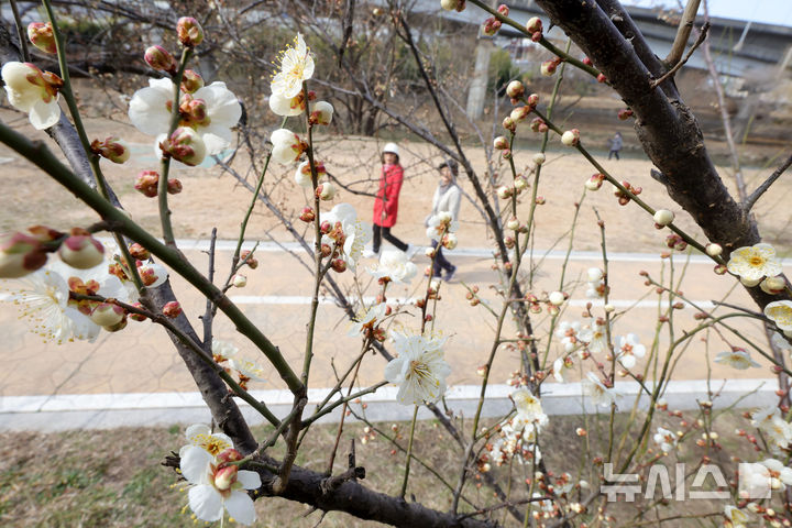 전북 낮 11~14도 야외활동 무난…대기 건조