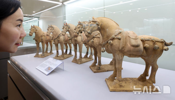 [서울=뉴시스] 박진희 기자 = 다보성갤러리는 말(馬)을 주제로 한 소장 유물 특별전 ‘내 말 좀 들어봐 말馬들의 이야기’ 언론공개회를 4일 서울 종로구 다보성갤러리에서 갖고 중국 당나라 '채회 말 도용' 유물들을 선보이고 있다. 이번 전시는 갤러리가 소장한 유물 가운데 말 형상을 중심으로 선별한 작품들을 통해 중국 미술과 문화 속에서 말이 지닌 상징과 의미를 조명한다. 2026.03.04. pak7130@newsis.com