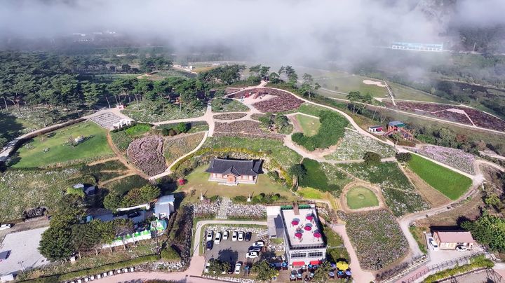 [정읍=뉴시스] 정읍 산내면 구절초지방정원. *재판매 및 DB 금지