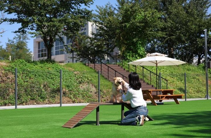 [동해=뉴시스] 동해시가 반려동물 놀이터를 재개한 가운데 함 시민이 자신의 반려견과 놀고 있는 모습.(사진=동해시 제공)photo@newsis.com *재판매 및 DB 금지