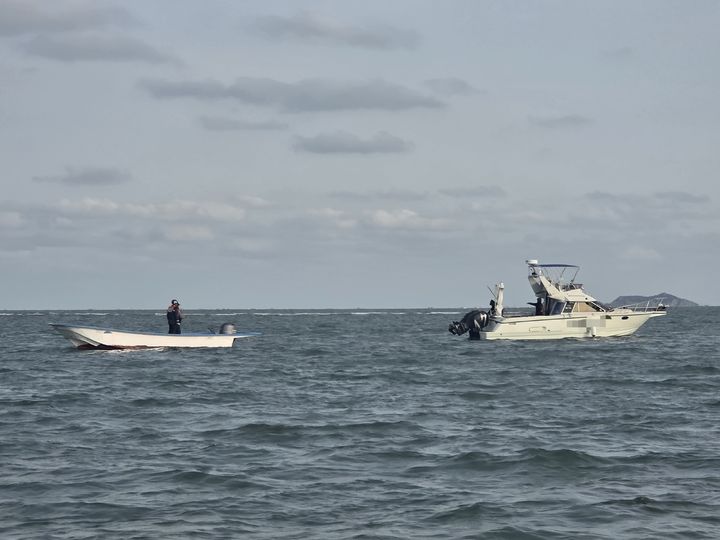 [부산=뉴시스] 5일 오후 부산 사하구 도요등 인근 해상에서 모터보트 1척이 좌주됐다는 신고가 해경에 접수됐다. (사진=부산해양경찰서 제공) 2026.03.05. photo@newsis.com *재판매 및 DB 금지