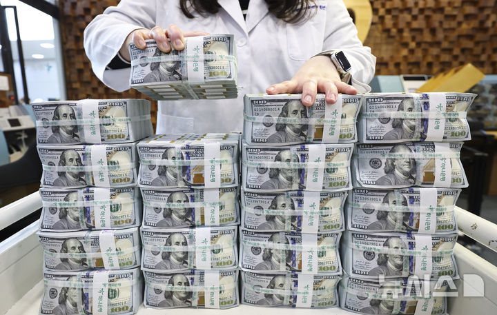 증가한 외환 보유액