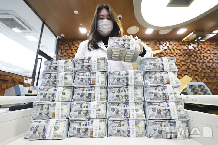 증가한 외환 보유액