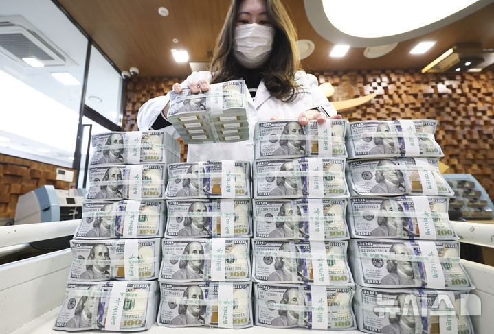 외환 보유액 증가