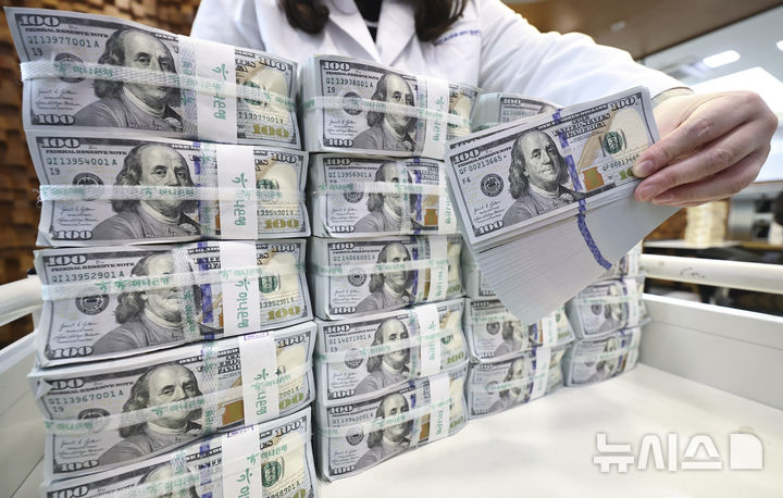 외환 보유액 증가