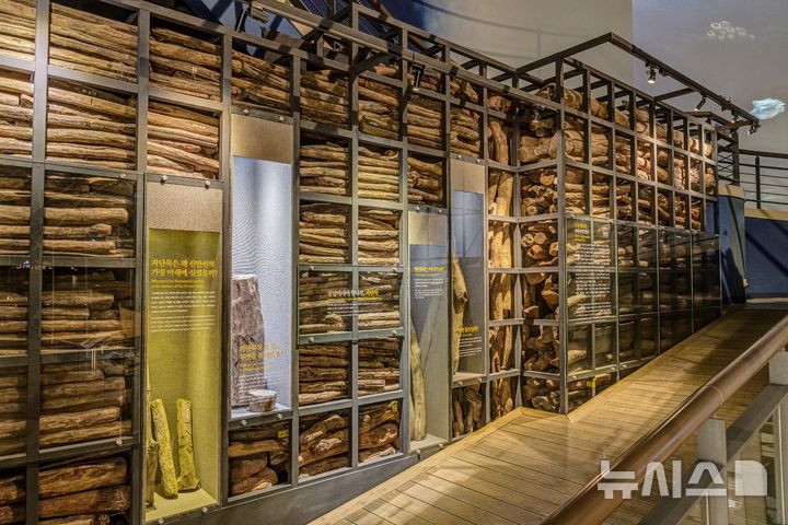 [서울=뉴시스] 신안선 출수 자단목 (사진=국가유산청 제공) 2026.03.06. photo@newsis.com