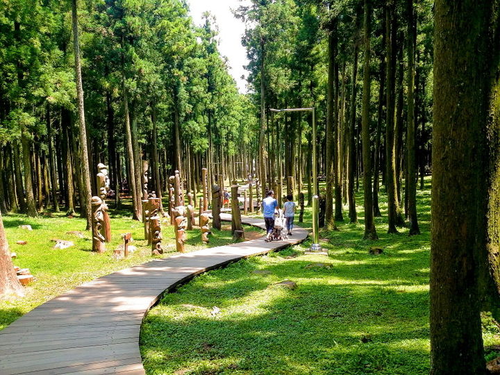 [제주=뉴시스] 제주절물자연휴양림 모습. (사진=절물생태관리소 제공) 2026.03.06. photo@newsis.com *재판매 및 DB 금지