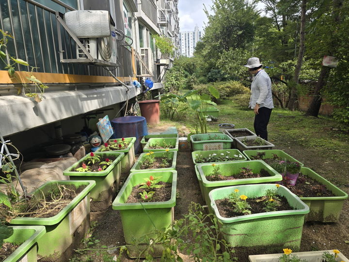 [서울=뉴시스] 창1동 뽀뽀뽀 어린이집 관계자가 상자텃밭을 가꾸고 있다. 2026.03.06. (사진=도봉구 제공) *재판매 및 DB 금지