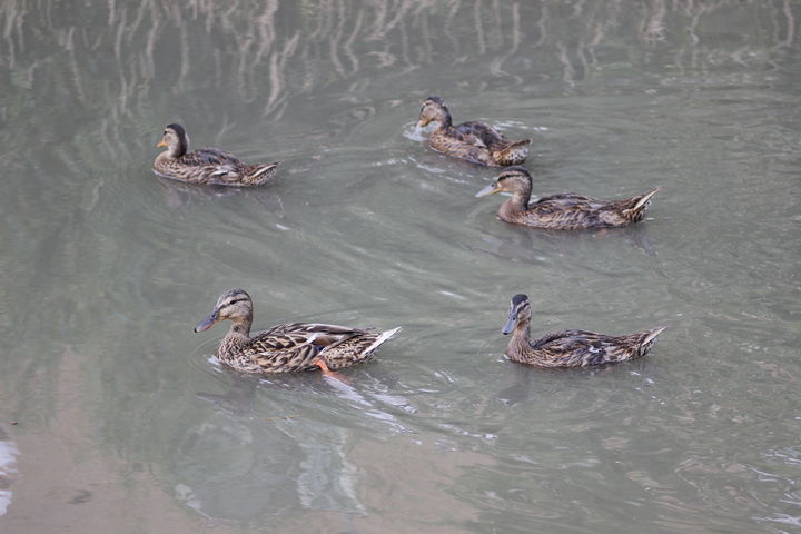 [뉴시스] 기사의 이해를 돕기 위한 이미지. (사진=유토이미지) *재판매 및 DB금지 *재판매 및 DB 금지