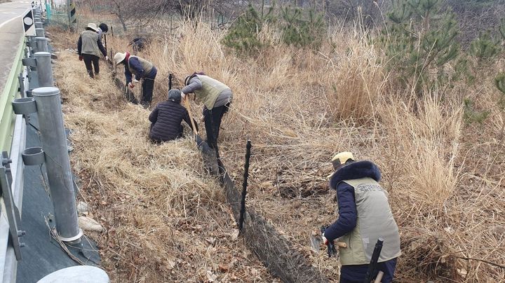 [평창=뉴시스] 오대산국립공원이 양서류 로드킬 방지를 위한 그물망 및 포집틀 정비하고 있다. (사진=오대산사무소 제공) 2026.03.06. photo@newsis.com&nbsp; *재판매 및 DB 금지