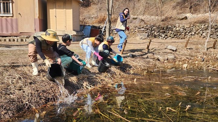 [평창=뉴시스] 오대산국립공원이 양서류 로드킬방지하기 위한 현장 예방 조치의 일환으로 구조한 개체를 산란지에 방사하고 있다.(사진=오대산사무소 제공)photo@newsis.com *재판매 및 DB 금지