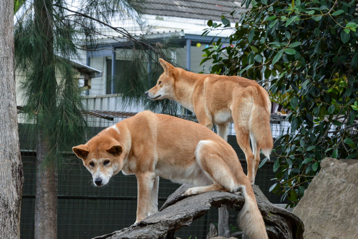 [뉴시스] 기사의 이해를 돕기 위한 이미지. (사진=유토이미지) *재판매 및 DB금지 *재판매 및 DB 금지