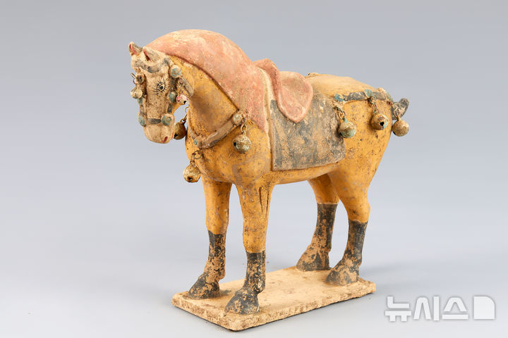 [서울=뉴시스] 박진희 기자 = 당삼채 마용(618~907) 부분 모습. 몸통은 갈색, 갈기는 백색, 안장은 삼색이 고루 시유된 당삼채(唐三彩) 마용(馬俑)이다. 말은 오른쪽 앞발의 무릎을 굽혀 들고 앞으로 나아갈 듯한 자세를 취하였다. 머리 뒤의 하얀 갈기와 등위의 안장에 길게 내려진 천 자락이 사실적으로 표현되어 인상적이다. (사진= 다보성갤러리 제공) 2026.03.06. photo@newsis.com