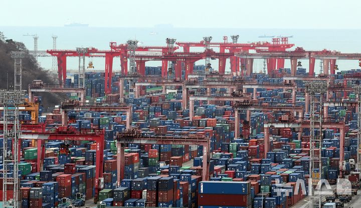 [부산=뉴시스] 부산 남구 신선대부두 야적장에 수출입 컨테이너가 쌓여 있다. 사진은 기사와 직접적 관계 없음. (사진=뉴시스DB)