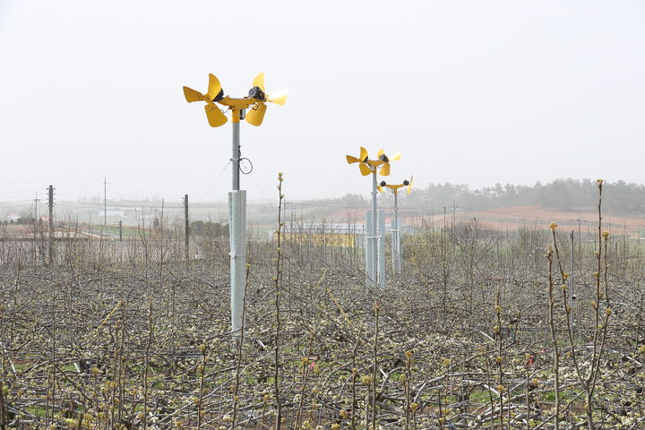[세종=뉴시스] 방상팬. (사진=농촌진흥청 제공) *재판매 및 DB 금지
