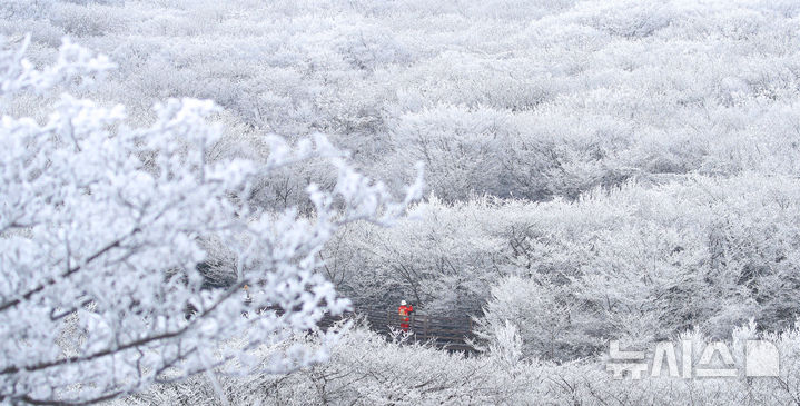 [제주=뉴시스] 우장호 기자 = 기습 추위가 찾아온 7일 오전 제주 한라산 1100고지 습지 인근 고지대에 상고대가 활짝 피어나 봄 계절 속 겨울 정취를 자아내고 있다. 2026.03.07. woo1223@newsis.com