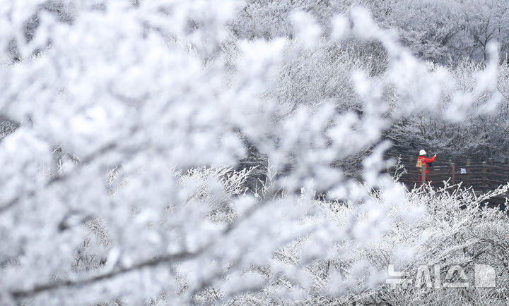[제주=뉴시스] 우장호 기자 = 기습 추위가 찾아온 7일 오전 제주 한라산 1100고지 습지 인근 고지대에 상고대가 활짝 피어나 봄 계절 속 겨울 정취를 자아내고 있다. 2026.03.07. woo1223@newsis.com