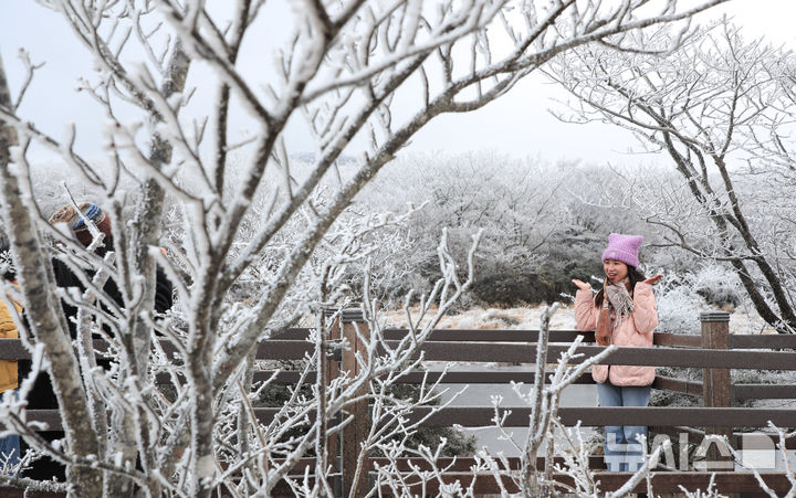 [제주=뉴시스] 우장호 기자 = 기습 추위가 찾아온 7일 오전 제주 한라산 1100고지 습지 인근 고지대에 상고대가 활짝 피어나 봄 계절 속 겨울 정취를 자아내고 있다. 2026.03.07. woo1223@newsis.com