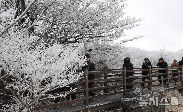 [제주=뉴시스] 우장호 기자 = 기습 추위가 찾아온 7일 오전 제주 한라산 1100고지 습지 인근 고지대에 상고대가 활짝 피어나 봄 계절 속 겨울 정취를 자아내고 있다. 2026.03.07. woo1223@newsis.com