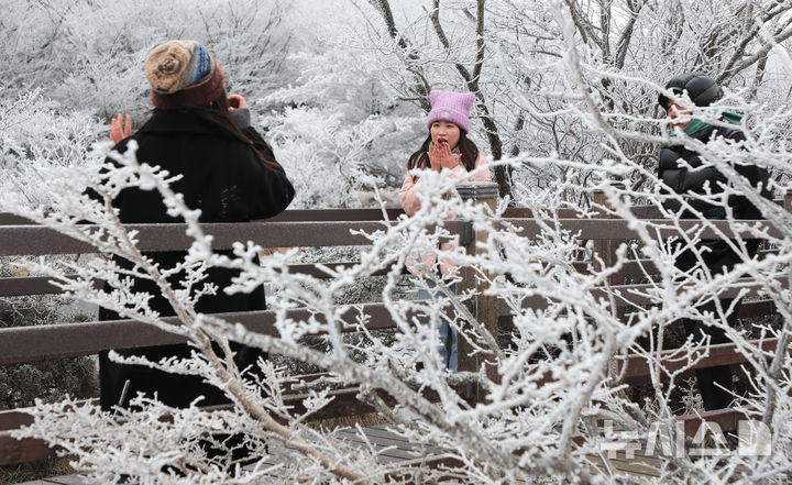 [제주=뉴시스] 우장호 기자 = 기습 추위가 찾아온 7일 오전 제주 한라산 1100고지 습지 인근 고지대에 상고대가 활짝 피어나 봄 계절 속 겨울 정취를 자아내고 있다. 2026.03.07. woo1223@newsis.com