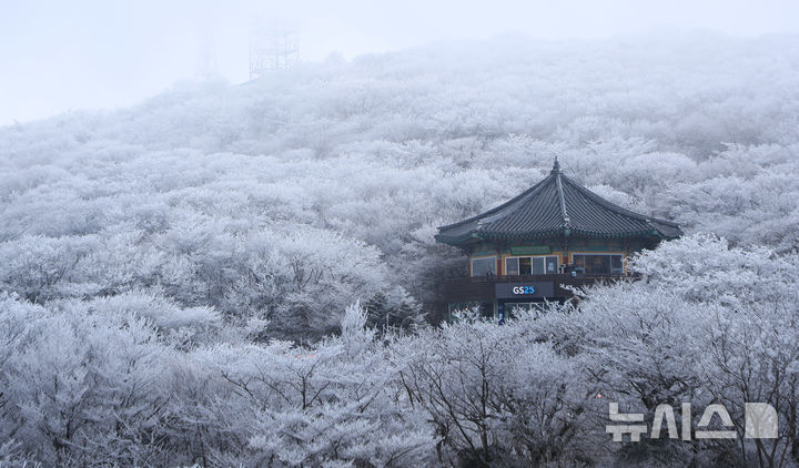 [제주=뉴시스] 우장호 기자 = 기습 추위가 찾아온 7일 오전 제주 한라산 1100고지 습지 인근 고지대에 상고대가 활짝 피어나 봄 계절 속 겨울 정취를 자아내고 있다. 2026.03.07. woo1223@newsis.com