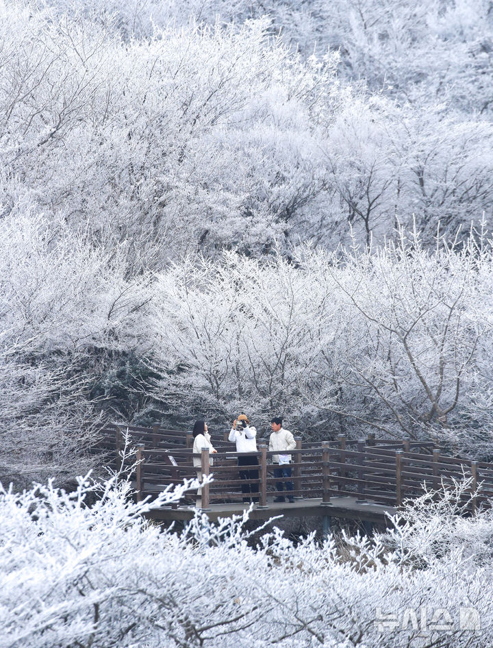 [제주=뉴시스] 우장호 기자 = 기습 추위가 찾아온 7일 오전 제주 한라산 1100고지 습지 인근 고지대에 상고대가 활짝 피어나 봄 계절 속 겨울 정취를 자아내고 있다. 2026.03.07. woo1223@newsis.com