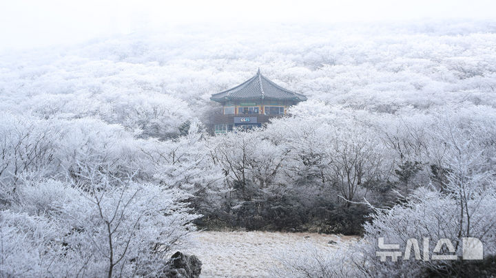 [제주=뉴시스] 우장호 기자 = 기습 추위가 찾아온 7일 오전 제주 한라산 1100고지 습지 인근 고지대에 상고대가 활짝 피어나 봄 계절 속 겨울 정취를 자아내고 있다. 2026.03.07. woo1223@newsis.com