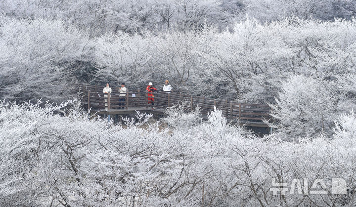 [제주=뉴시스] 우장호 기자 = 기습 추위가 찾아온 7일 오전 제주 한라산 1100고지 습지 인근 고지대에 상고대가 활짝 피어나 봄 계절 속 겨울 정취를 자아내고 있다. 2026.03.07. woo1223@newsis.com