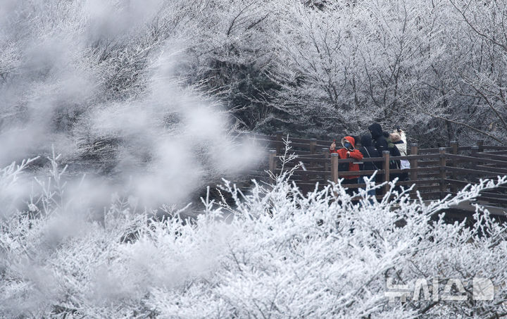 [제주=뉴시스] 우장호 기자 = 기습 추위가 찾아온 7일 오전 제주 한라산 1100고지 습지 인근 고지대에 상고대가 활짝 피어나 봄 계절 속 겨울 정취를 자아내고 있다. 2026.03.07. woo1223@newsis.com