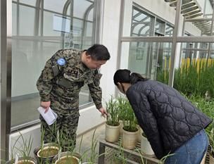 [세종=뉴시스]농촌진흥청이 국립식량과학원, 국립축산과학원, 경북농업기술원에서 남수단 재건지원단(한빛부대) 21진 부대원들을 대상으로 농업기술 교육을 실시하는 모습. (사진=농진청 제공) *재판매 및 DB 금지