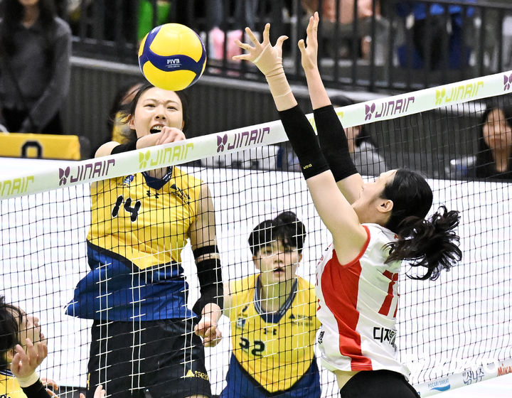 [서울=뉴시스]여자배구 현대건설 양효진. (사진=KOVO 제공)