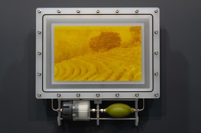 백정기, < is of 보성녹차밭 2025-3>, 2025, Inkjet print with pigment extracted from green tea leaves, epoxy coating, acrylic sealed chamber, oxygen removal device, 51 x 53 x 12 cm *재판매 및 DB 금지
