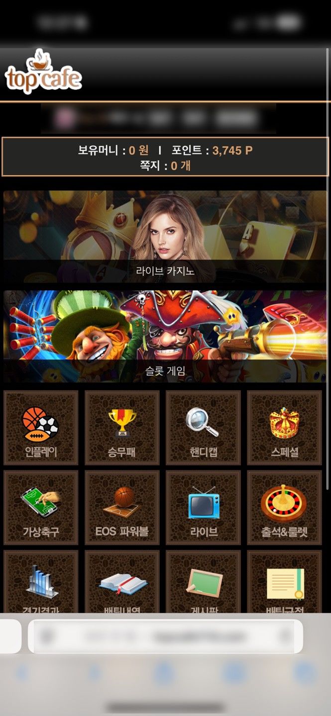 [울산=뉴시스] A씨 일당이 운영한 불법 도박사이트. (사진=울산경찰청 제공) 2026.03.09. photo@newsis.com *재판매 및 DB 금지