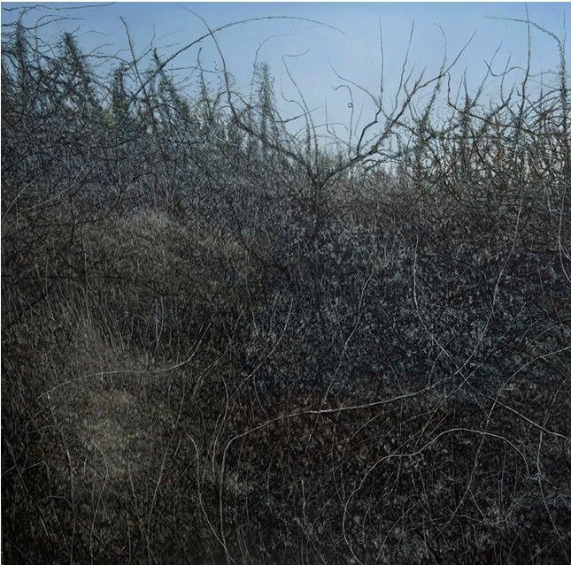 이헌 IN.0 80x100cm Oil on canvas 2026 *재판매 및 DB 금지