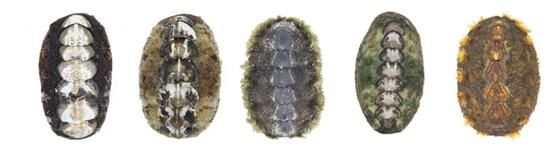  *재판매 및 DB 금지