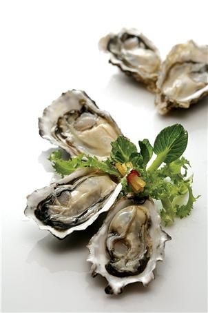 [부산=뉴시스] 3월 남해안 양식 굴. (사진=국립수산과학원 제공) 2026.03.09. photo@newsis.com *재판매 및 DB 금지