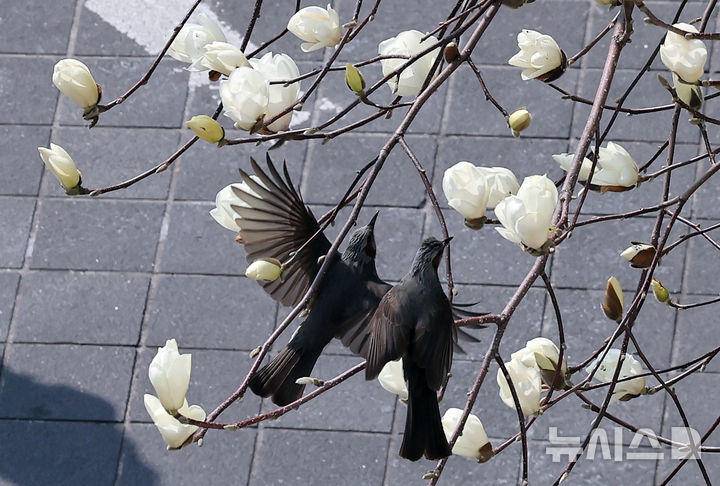 구름 많은 울산, 오늘은 포근합니다…아침 1도·한낮 10도