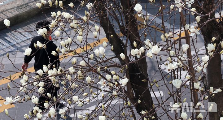 대구·경북, 구름 많고 큰 일교차…아침 –5도·한낮 13도