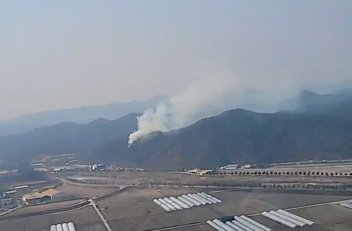 [봉화=뉴시스] 봉화읍 적덕리에서 산불이 발생해 연기가 나고 있다. (사진=산림청 제공) 2026.03.10. photo@newsis.com *재판매 및 DB 금지