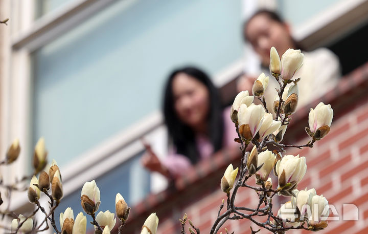 [대구=뉴시스] 이무열 기자 = 10일 대구 북구 영진전문대 캠퍼스에 목련이 꽃망울을 틔우고 있다. 2026.03.10. lmy@newsis.com