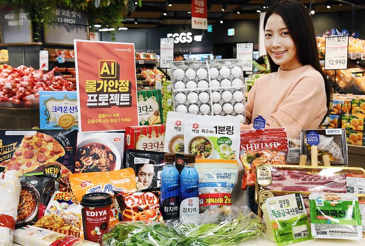 [서울=뉴시스] 홈플러스가 18일까지 'AI 물가안정 프로젝트'를 진행한다. (사진=홈플러스 제공)&nbsp; *재판매 및 DB 금지