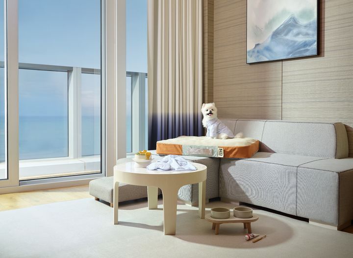 [부산=뉴시스] 시그니엘 부산 펫 프렌들리 객실. (사진=호텔 제공) 2026.03.11. photo@newsis.com&nbsp; *재판매 및 DB 금지
