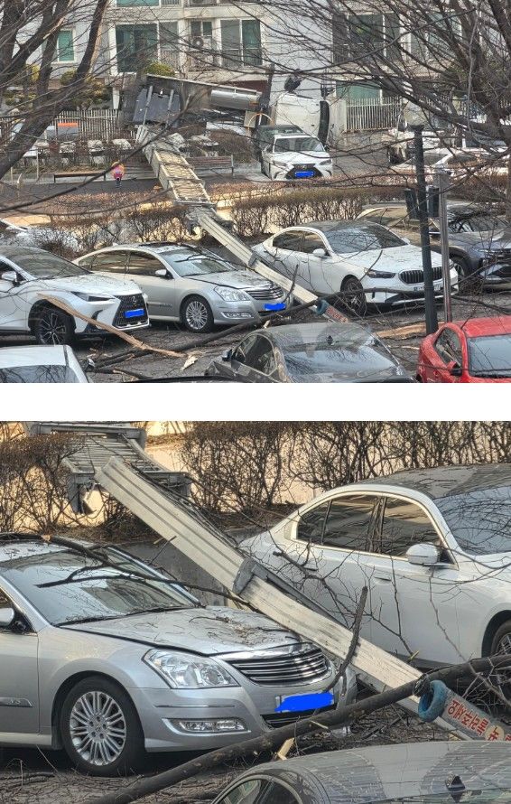 사진 온라인커뮤니티 보배드림 캡처 *재판매 및 DB 금지